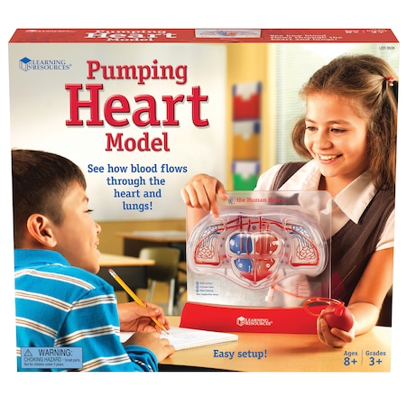Learning Resources Pumping Heart Model 3535